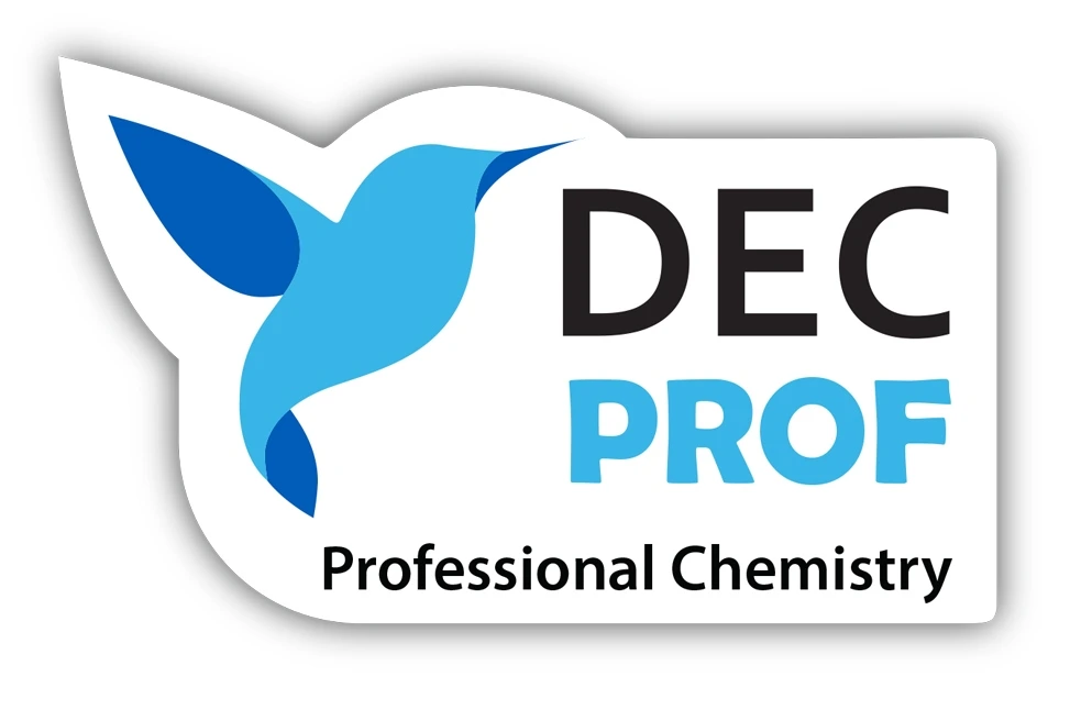 Логотип DEC PROF